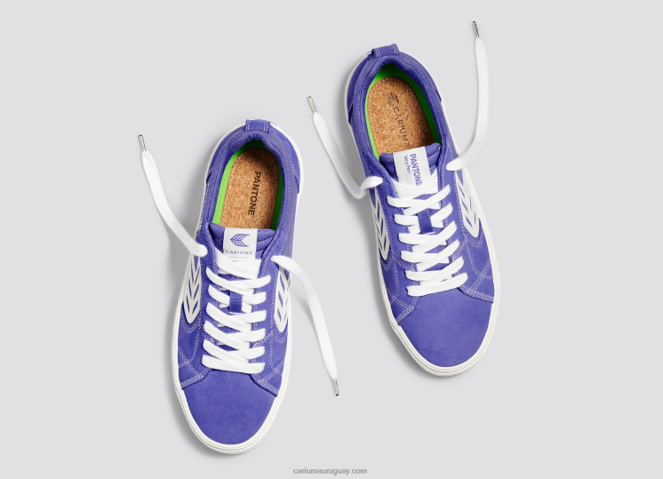 pantone muy peri/blanquecino hombres 4F2V687 Cariuma