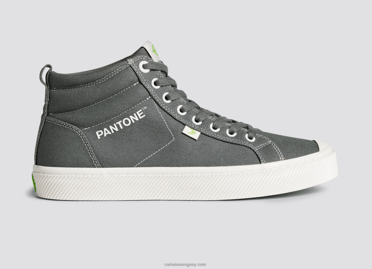 lienzo pantone gárgola gris hombres 4F2V665 Cariuma