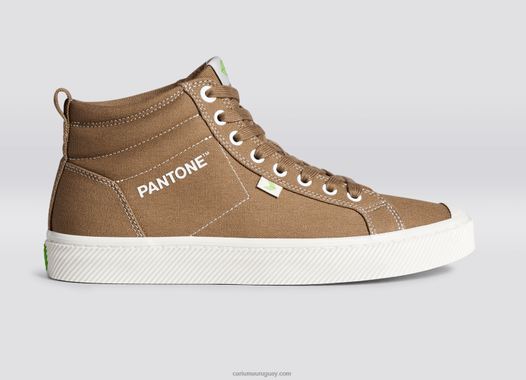 lienzo pantone león hombres 4F2V664 Cariuma