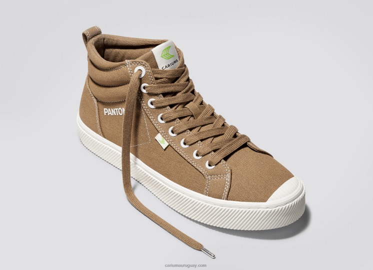 lienzo pantone león hombres 4F2V664 Cariuma