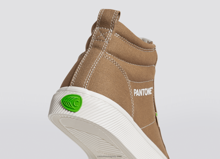 lienzo pantone león hombres 4F2V664 Cariuma