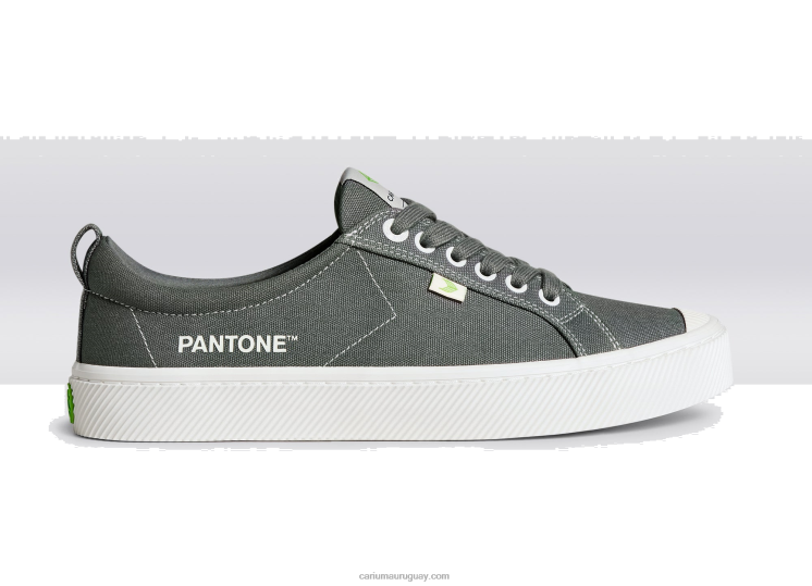 lienzo pantone gárgola gris hombres 4F2V640 Cariuma