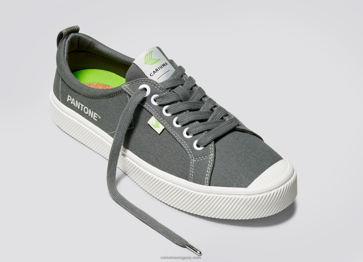 lienzo pantone gárgola gris hombres 4F2V640 Cariuma