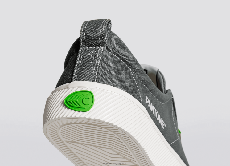 lienzo pantone gárgola gris hombres 4F2V640 Cariuma