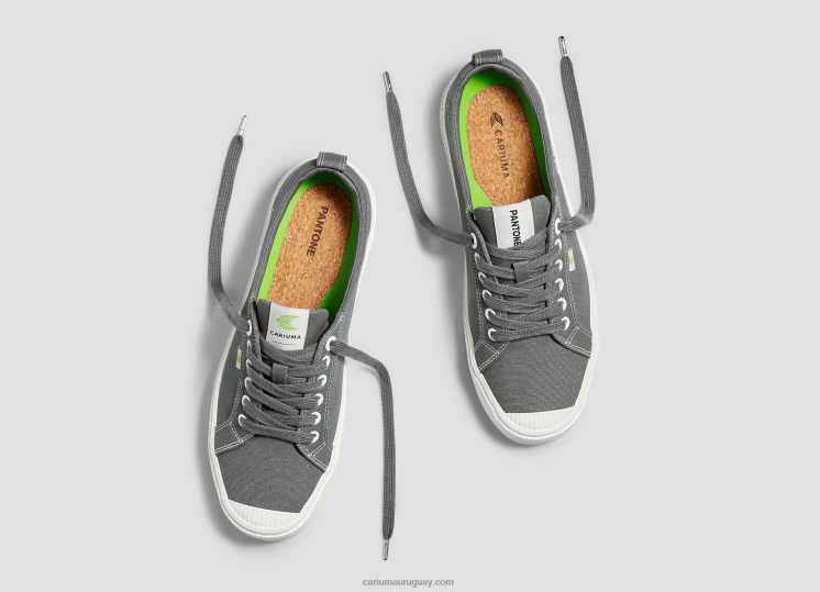lienzo pantone gárgola gris hombres 4F2V640 Cariuma