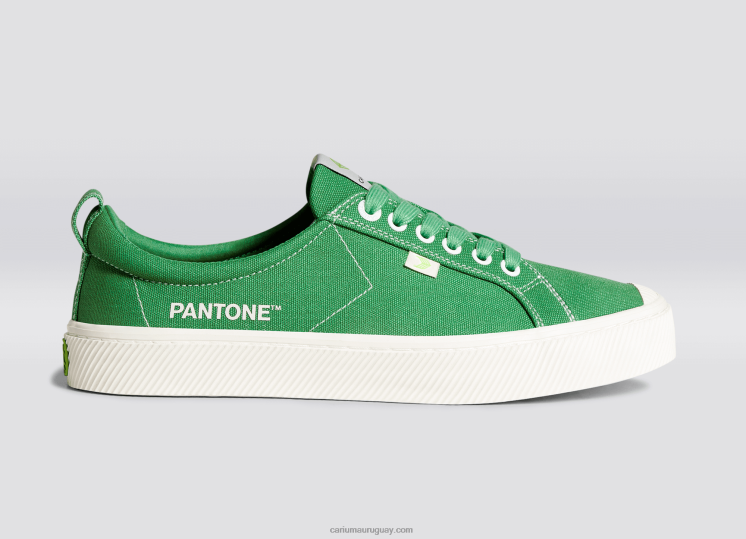 lienzo pantone greenbriar hombres 4F2V620 Cariuma
