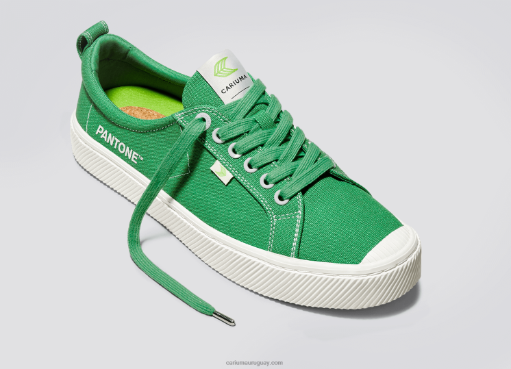 lienzo pantone greenbriar hombres 4F2V620 Cariuma