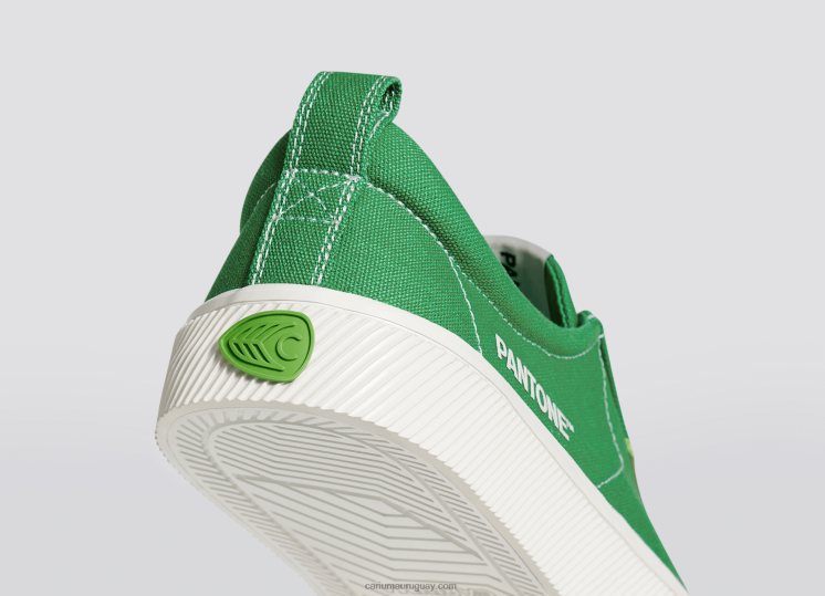 lienzo pantone greenbriar hombres 4F2V620 Cariuma