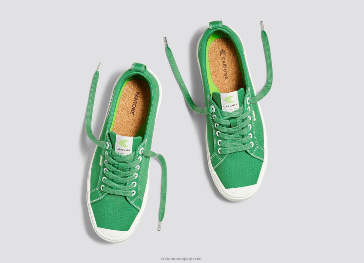 lienzo pantone greenbriar hombres 4F2V620 Cariuma