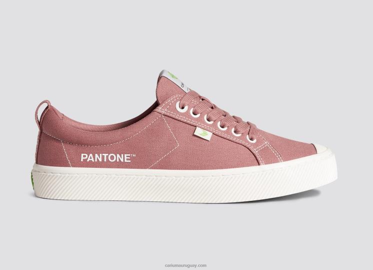 lienzo pantone rosa marchita hombres 4F2V618 Cariuma