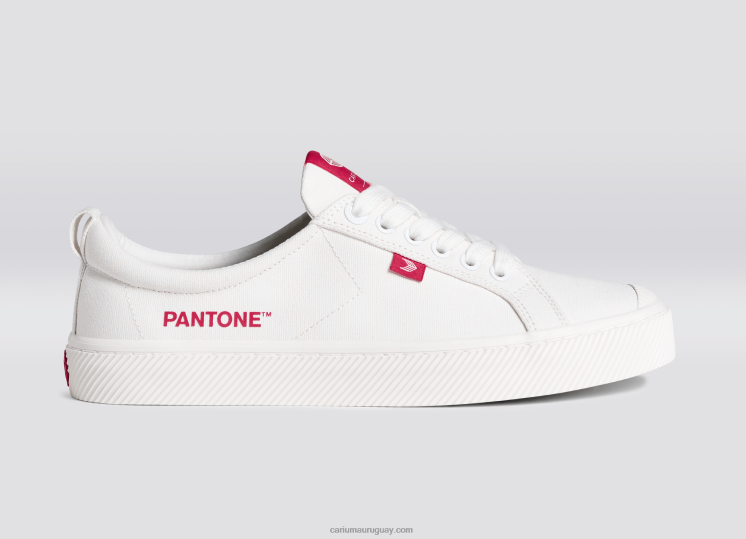 lona pantone blanquecino/magenta viva hombres 4F2V639 Cariuma