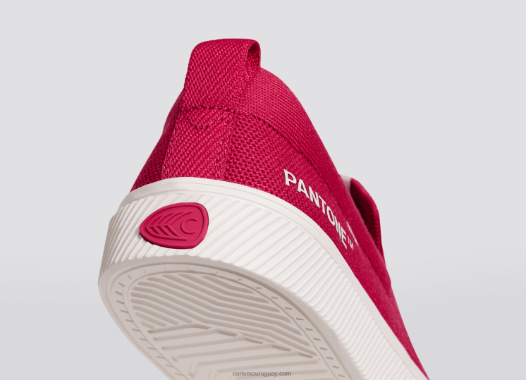 punto pantone viva magenta hombres 4F2V679 Cariuma