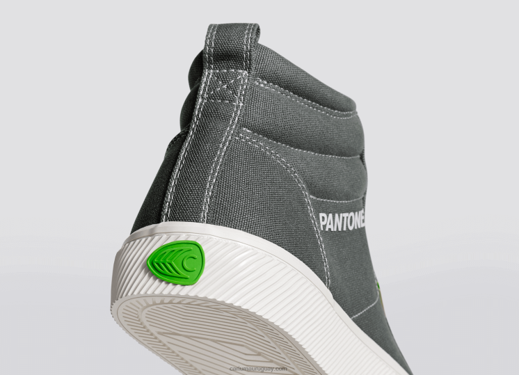 lienzo pantone gárgola gris mujer 4F2V6282 Cariuma