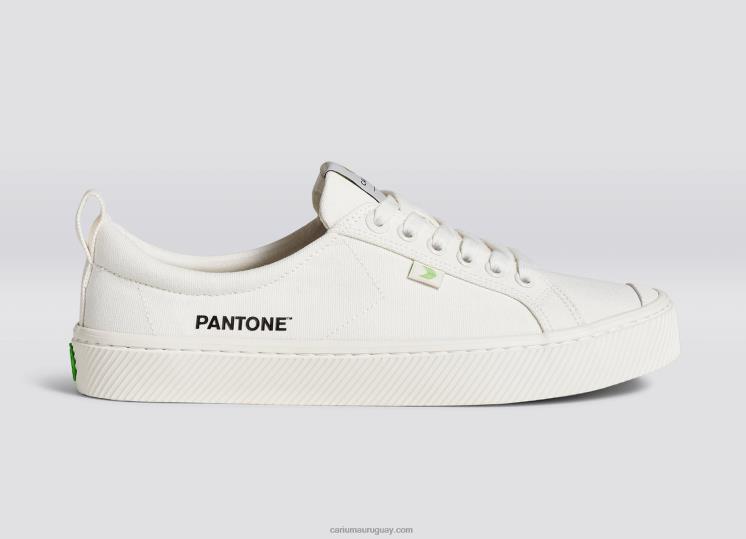 lienzo pantone blanco nieve mujer 4F2V6227 Cariuma