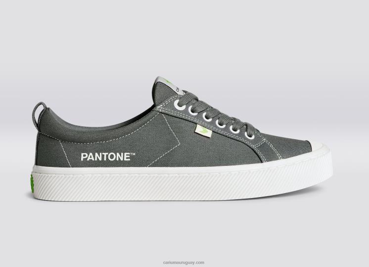 lienzo pantone gárgola gris mujer 4F2V6253 Cariuma