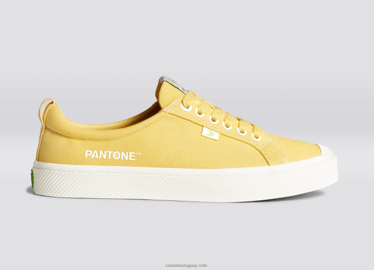 pantone lienzo de seda de maíz mujer 4F2V6268 Cariuma